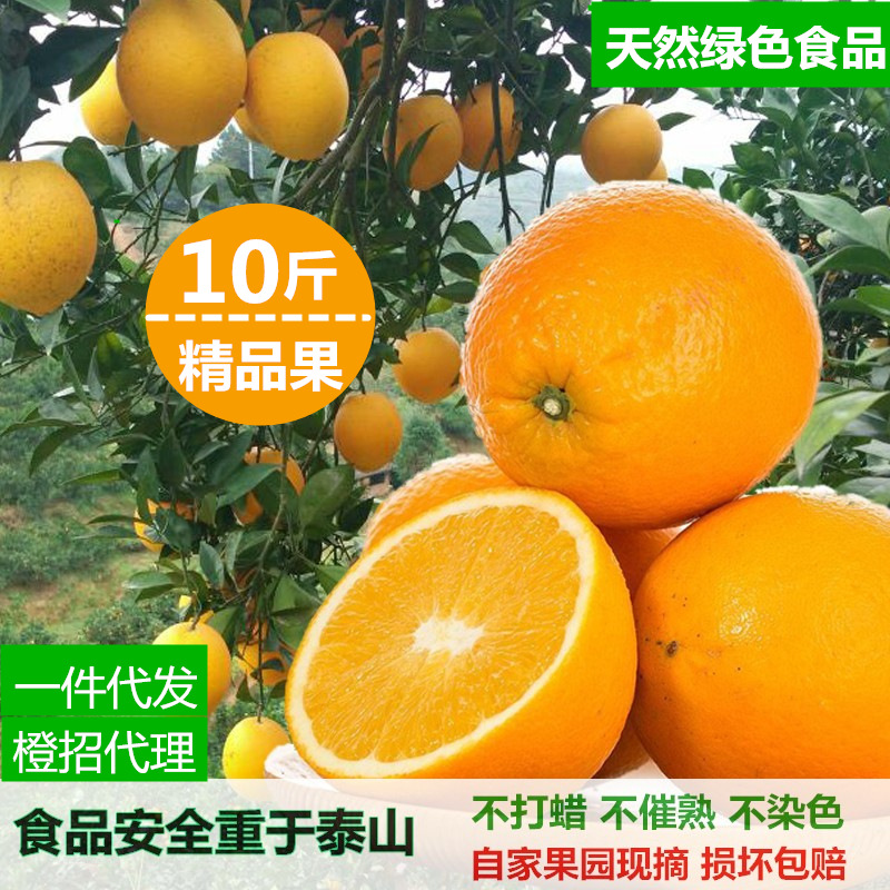 富川臍橙 優質新鮮水果批發的不二之選