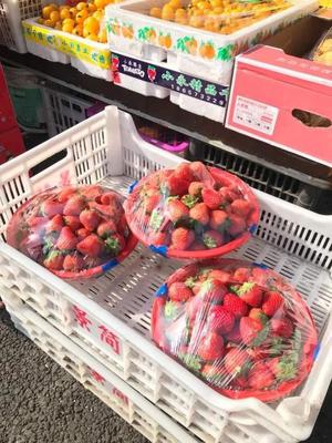 草莓車厘子甜蜜上市，新鮮水果批發價格觀察